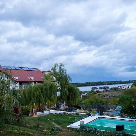 Pensiunea 4 Salcii Baltenii de Sus Экстерьер фото